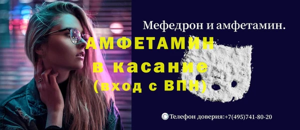 прущие грибы Наволоки