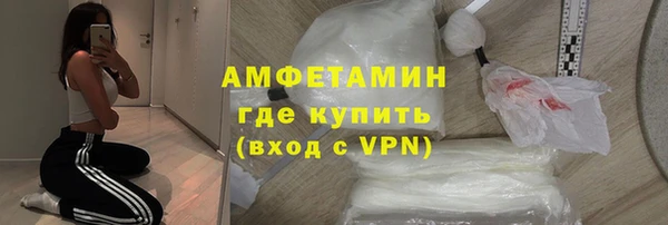 прущие грибы Наволоки