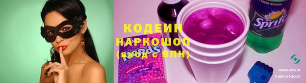 прущие грибы Наволоки