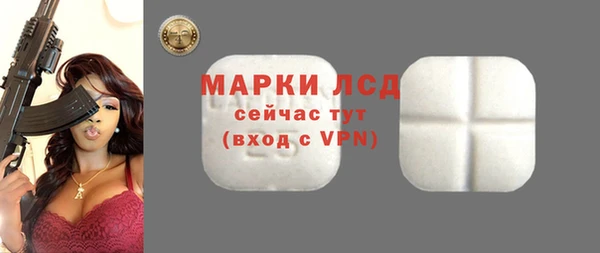 прущие грибы Наволоки