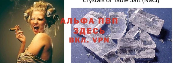 стаф Болхов