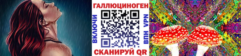 OMG ТОР  Карабаново  Псилоцибиновые грибы Cubensis 
